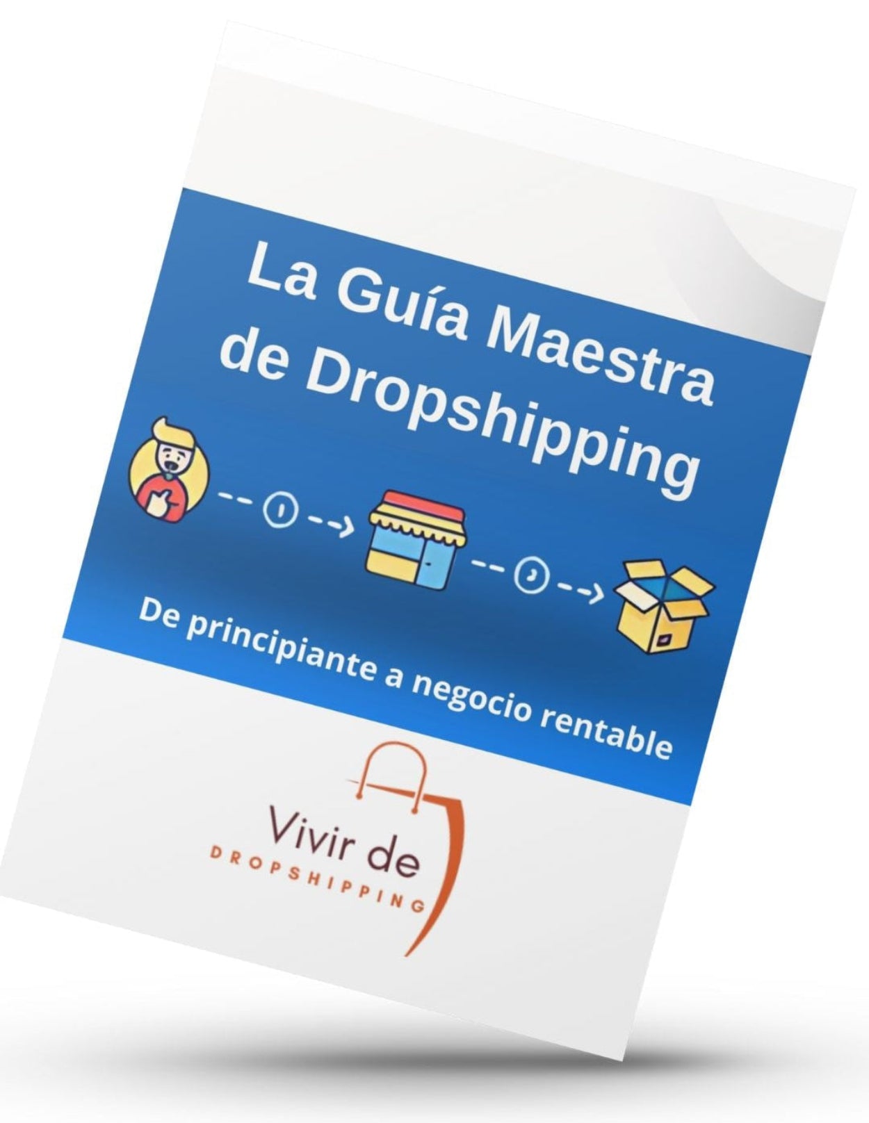 La Guía Maestra del Dropshipping